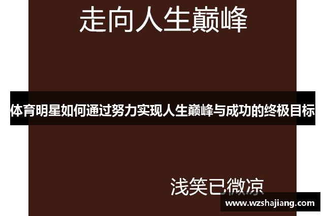 体育明星如何通过努力实现人生巅峰与成功的终极目标