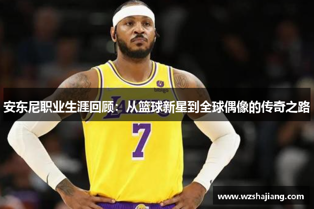 安东尼职业生涯回顾：从篮球新星到全球偶像的传奇之路