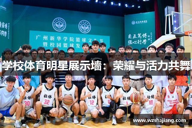 学校体育明星展示墙：荣耀与活力共舞