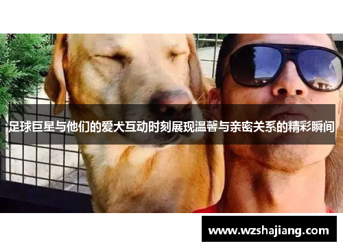 足球巨星与他们的爱犬互动时刻展现温馨与亲密关系的精彩瞬间